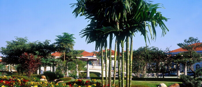 248cc永利集团(中国游)有限公司官网