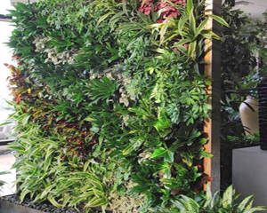 248cc永利集团(中国游)有限公司官网