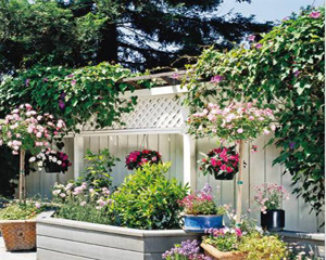 248cc永利集团(中国游)有限公司官网