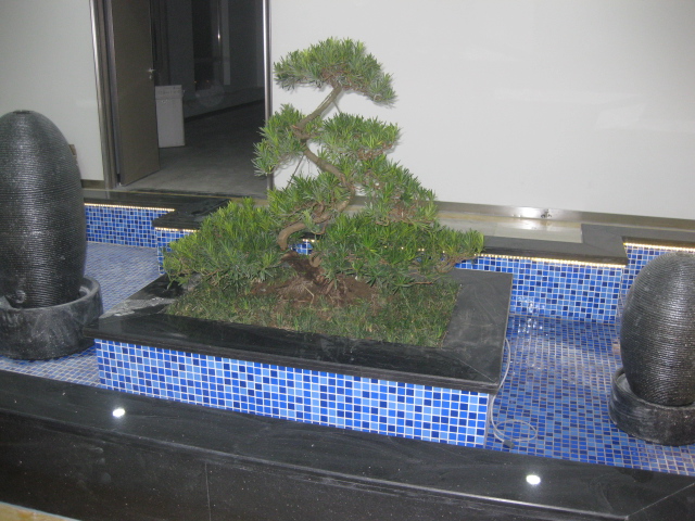 248cc永利集团(中国游)有限公司官网