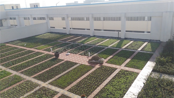 248cc永利集团(中国游)有限公司官网