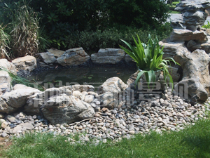 248cc永利集团(中国游)有限公司官网